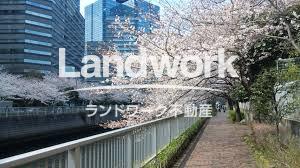 目黒川桜②
