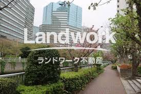 目黒川初夏